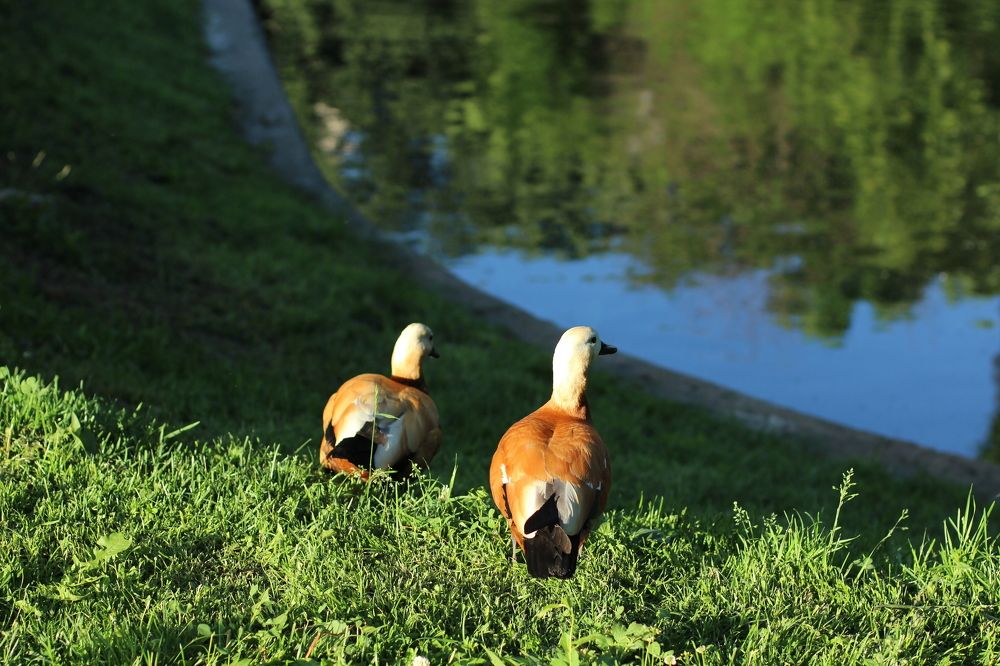 Photograph by Alyona Pravel’eva