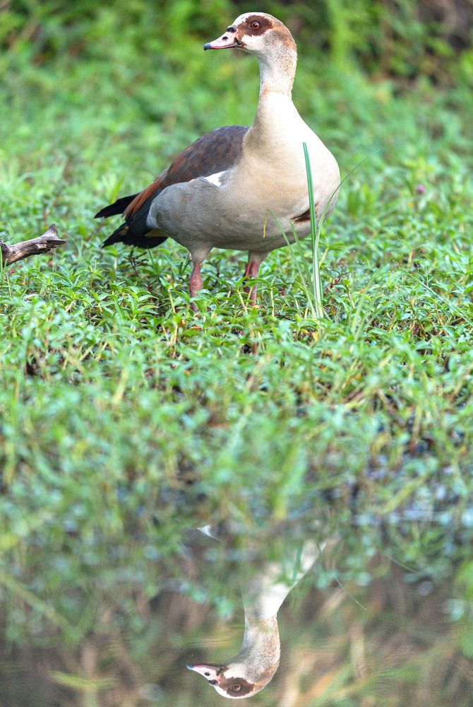 Photograph by Ranjith Kumar