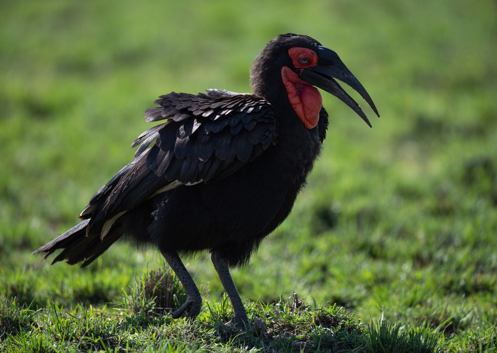 Photograph by Ranjith Kumar