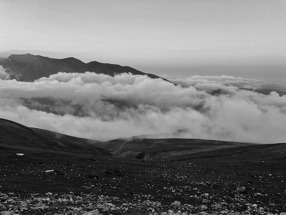 Фотография автора Faeze Eskandari