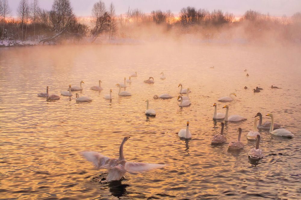 Photograph by Александр Поборчий