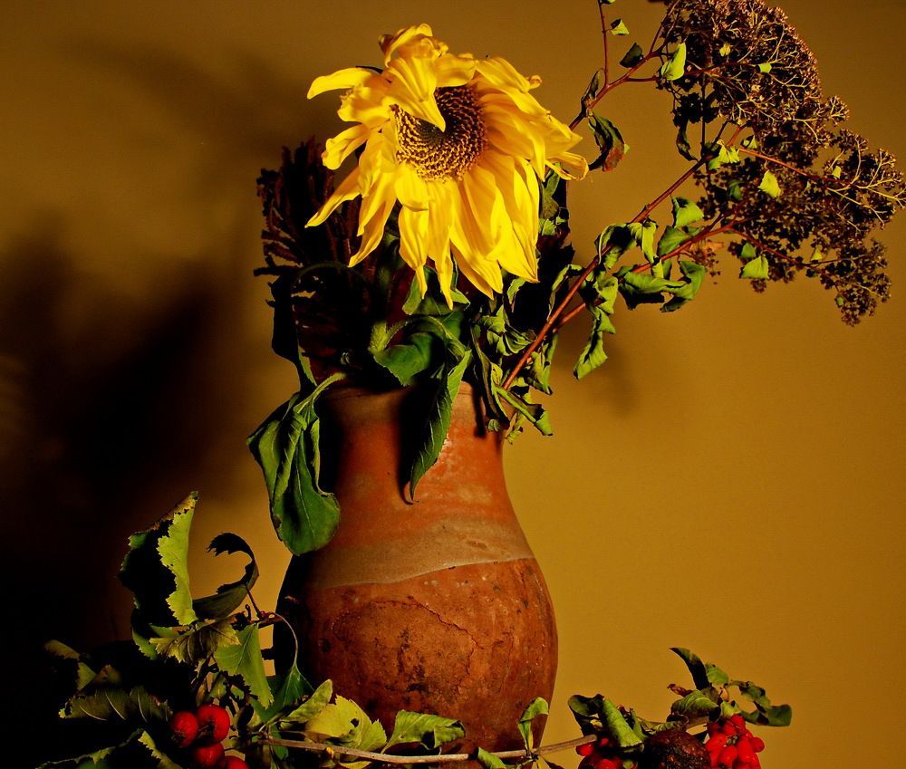 Photograph by Харис Шахмаметьев