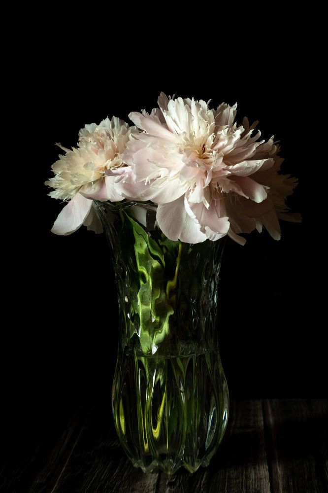 Photograph by Станислав Кубарев