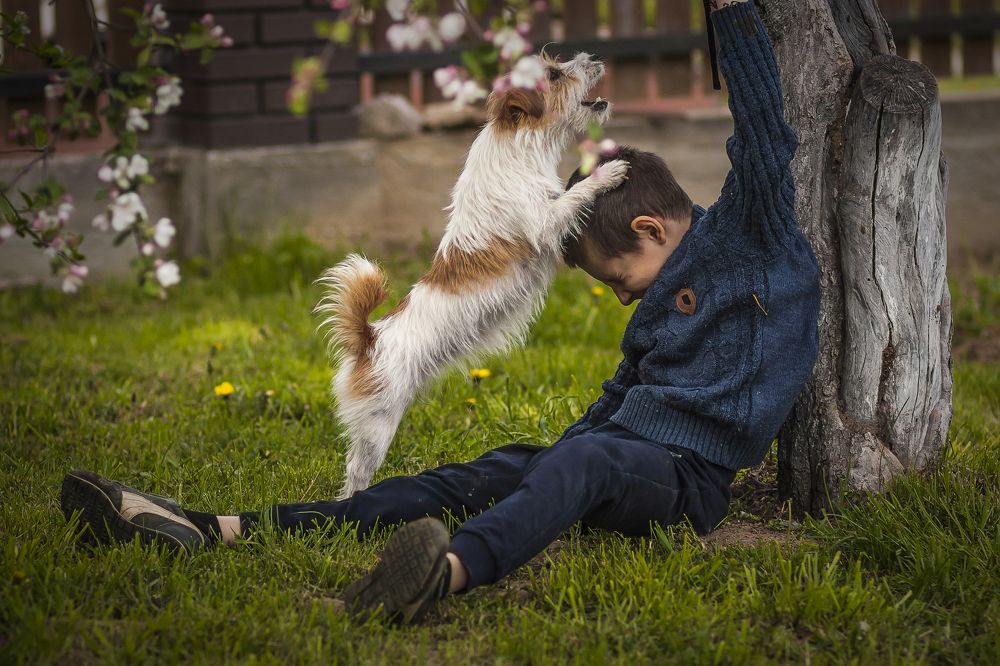 Photograph by Сундеев Дмитрий