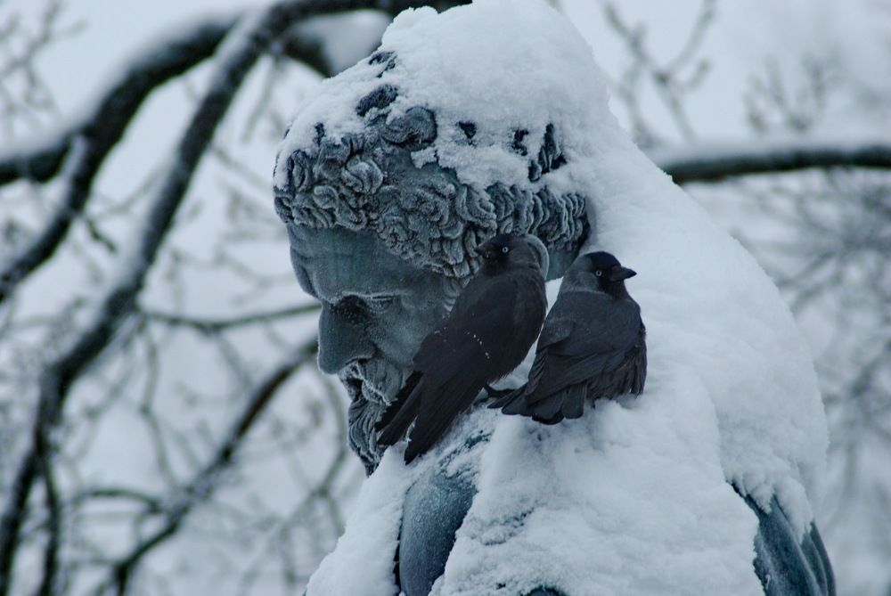 Photograph by Харис Шахмаметьев