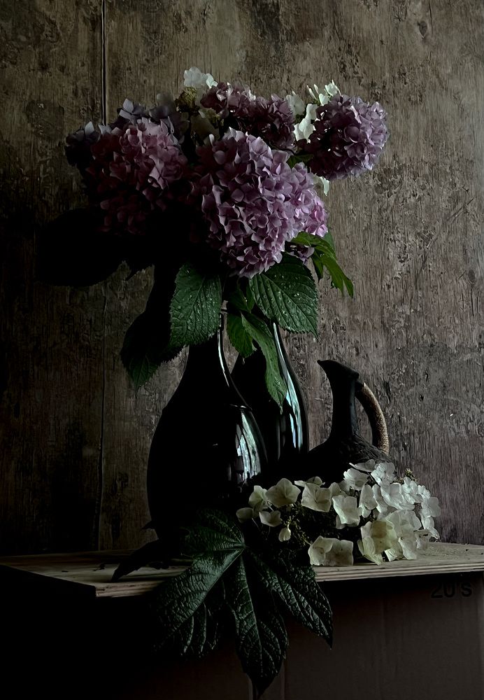 Photograph by Анастасия Денисенко