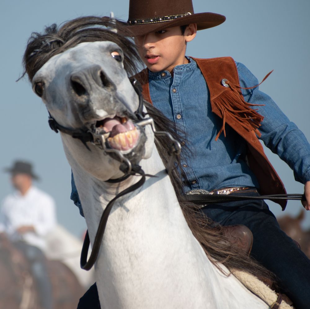 Photograph by Muhammad Hamid