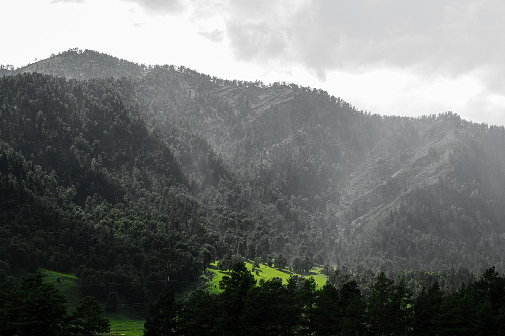 Фотография автора Евгения Гунина