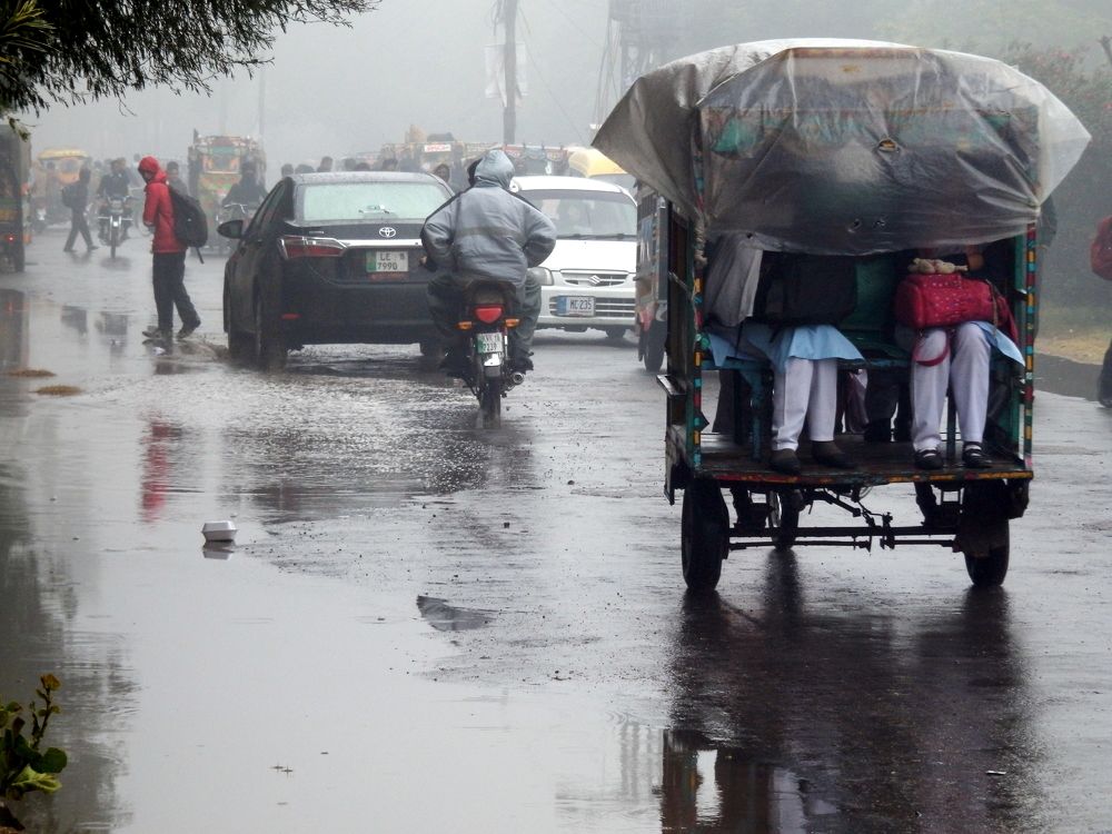 Фотография автора SYED AKBAR