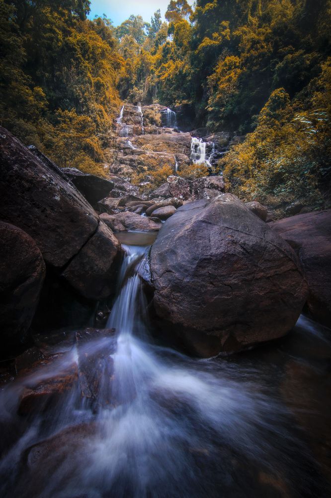 Photograph by Amila Hewagama