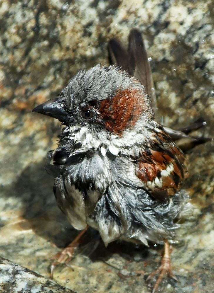 Photograph by Olga Asson