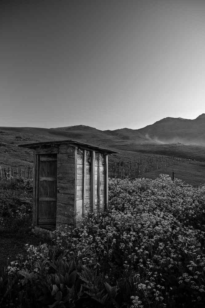 Photograph by alireza totonchi