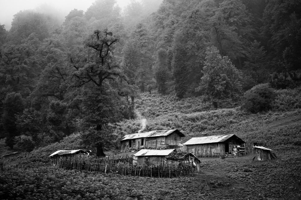 Photograph by alireza totonchi