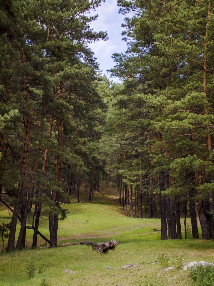 Photograph by Анна Ермилова