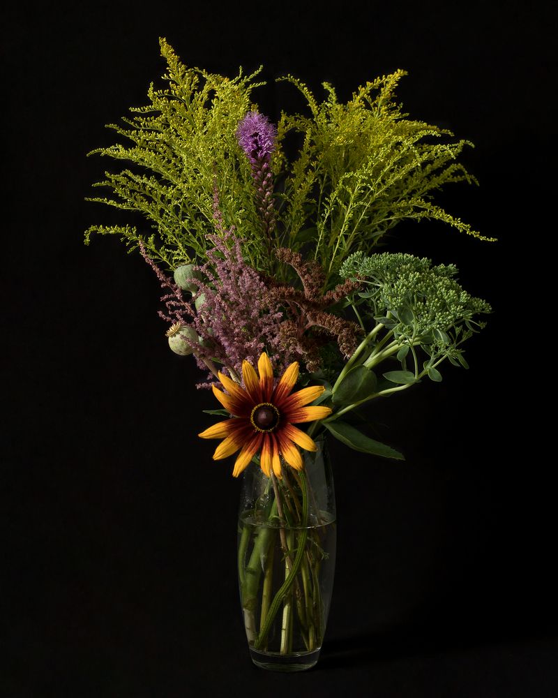 Фотография автора Елена Ельшина