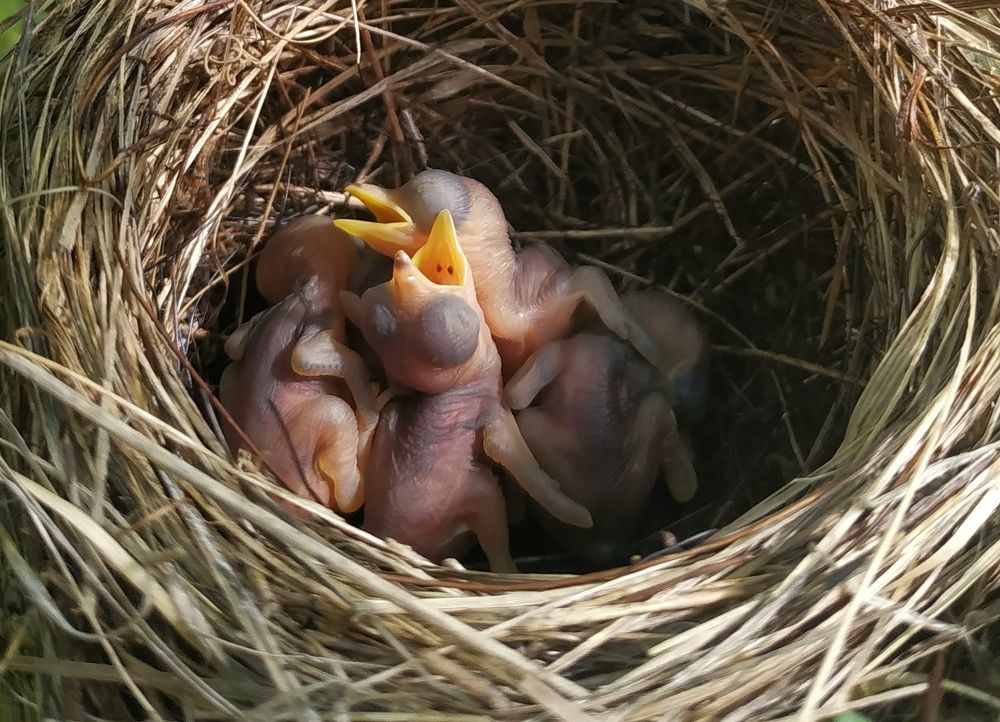 Photograph by Mila Vshivkova