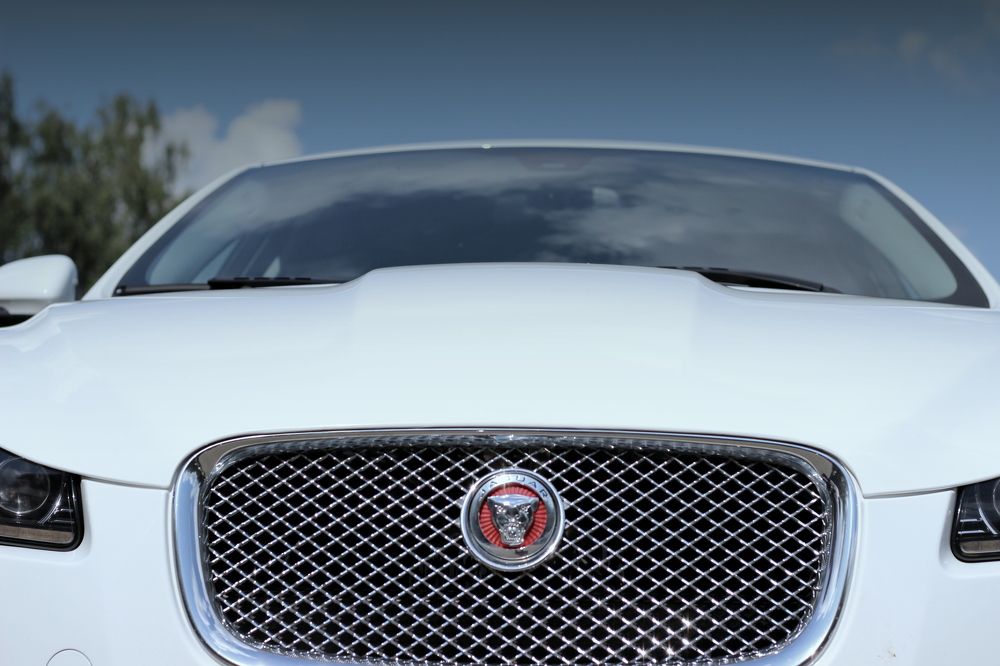 Photograph by Александр Лямцев