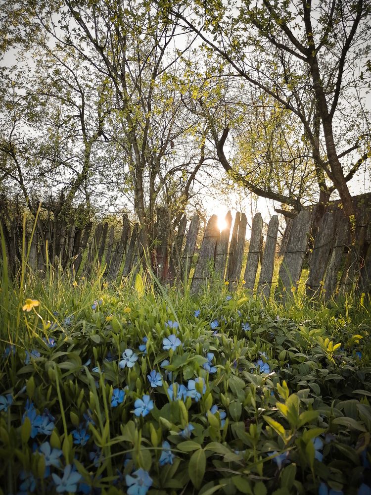 Photograph by Prodaniuc Vasile