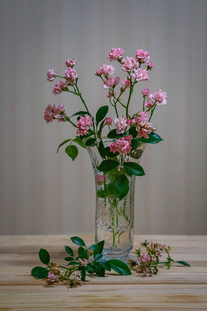 Photograph by Юрий Можейко