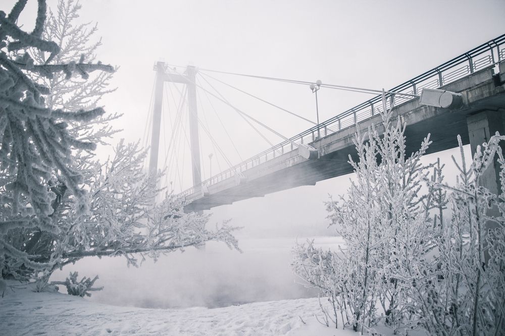 Фотография автора Регина Крикунова