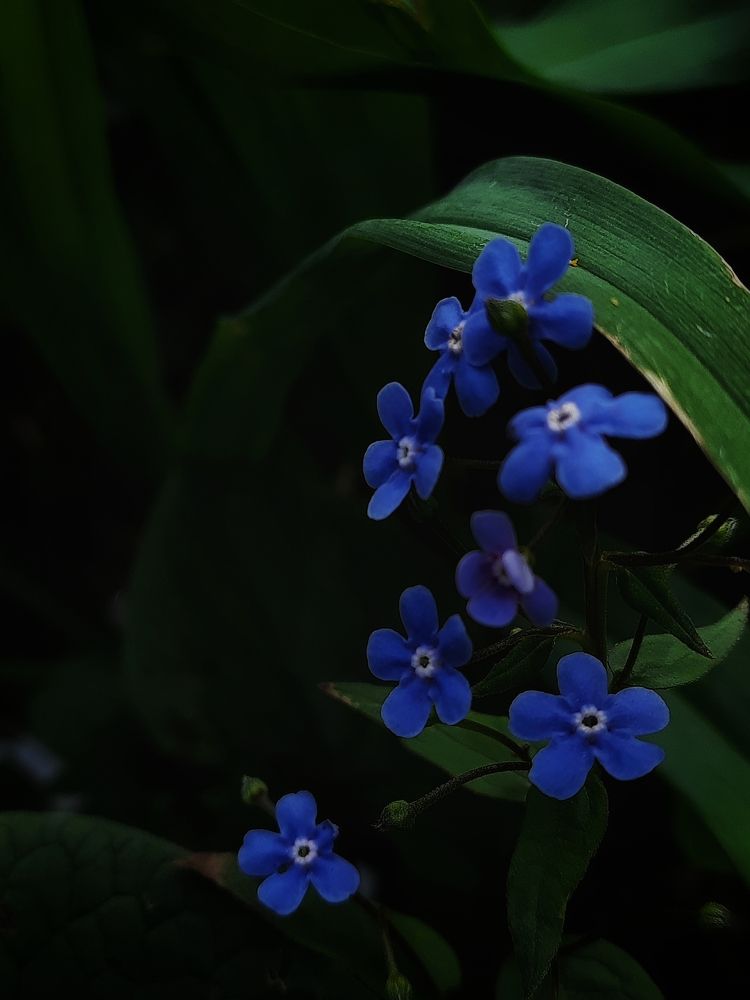 Photograph by Ксения Олина