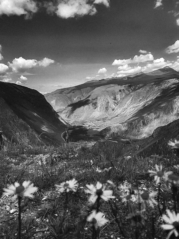 Photograph by Алексей Степаненко