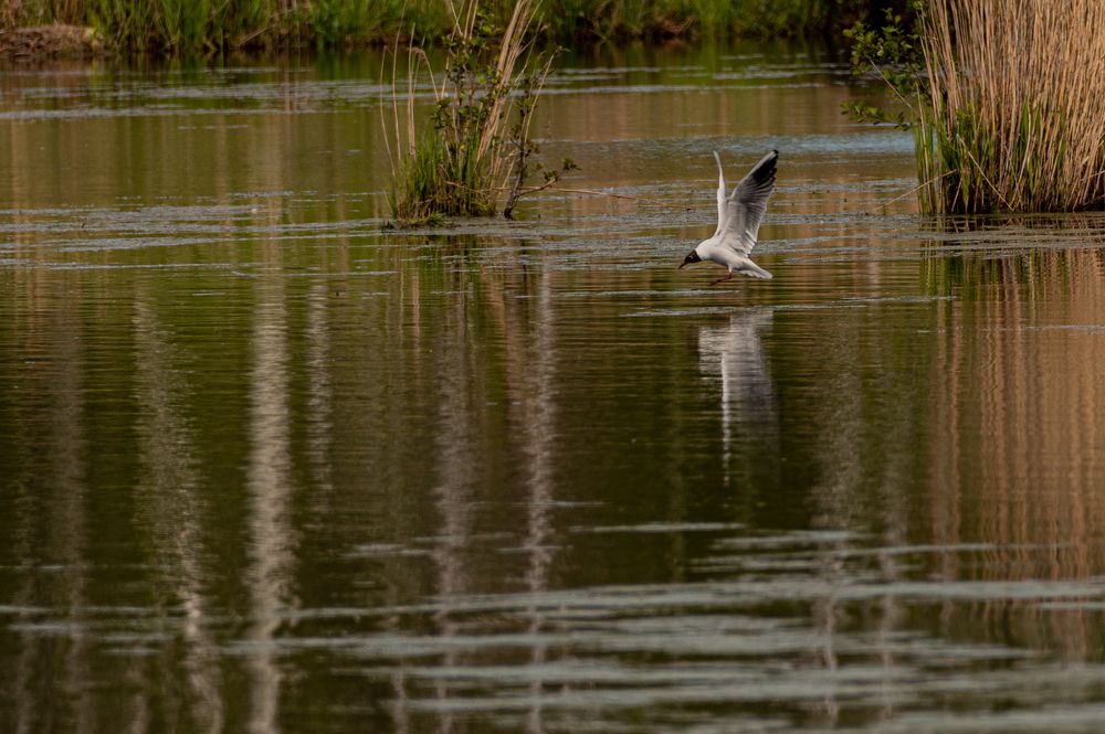 Photograph by Kipkaev Oleg