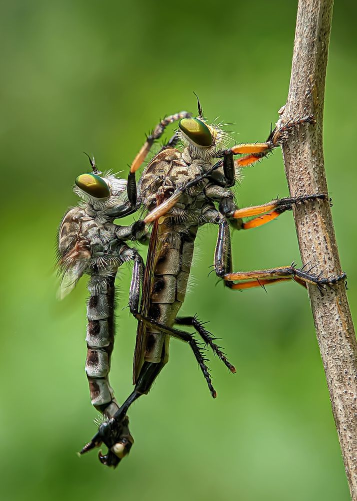 Фотография автора ISLAM SK RIYAJUL