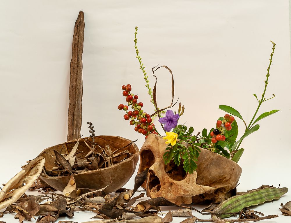 Photograph by Armando Lopez-Guerrero