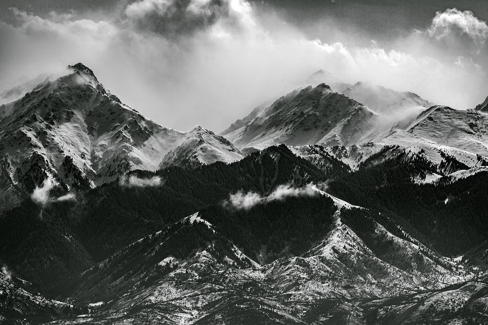 Фотография автора Душанц Владимир