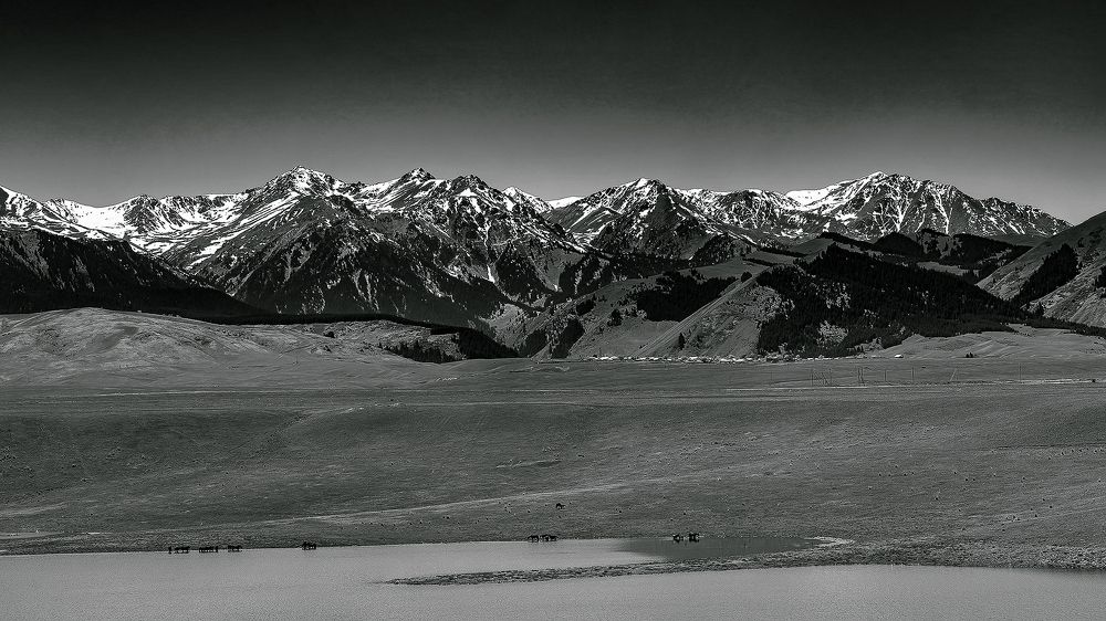 Фотография автора Душанц Владимир