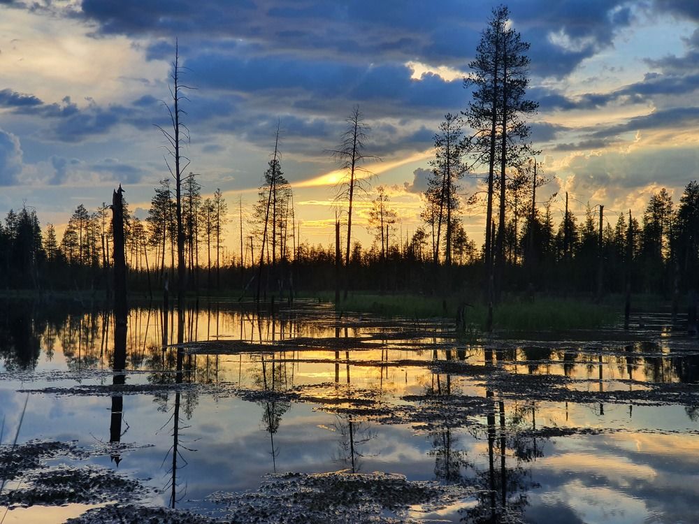 Photograph by Антон Жирнов