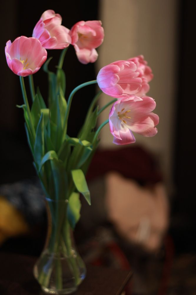 Photograph by Дарья Расшивина