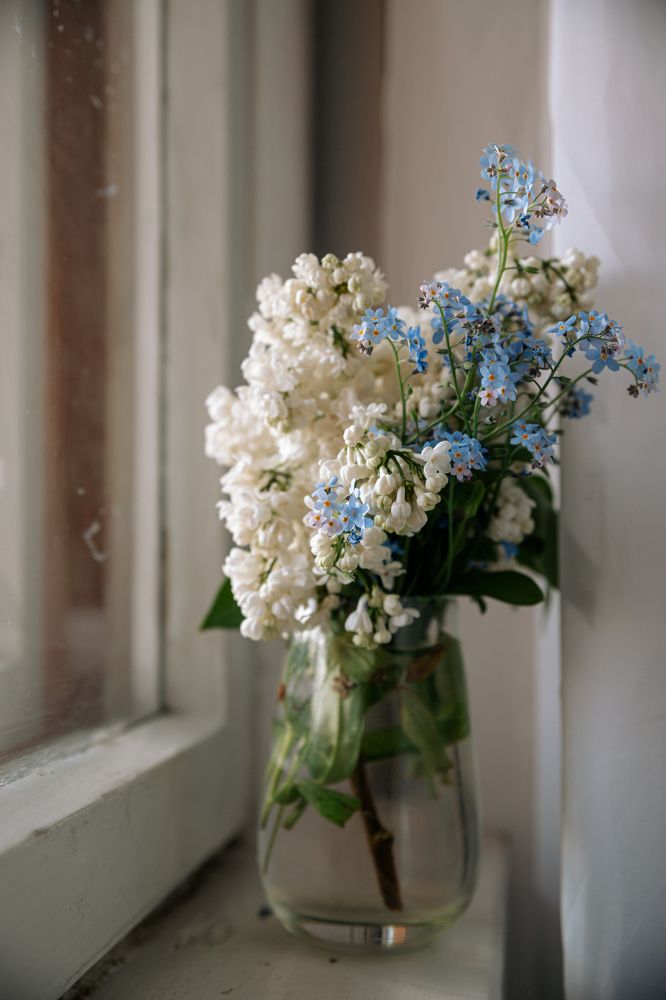 Фотография автора Лукашенко Ольга