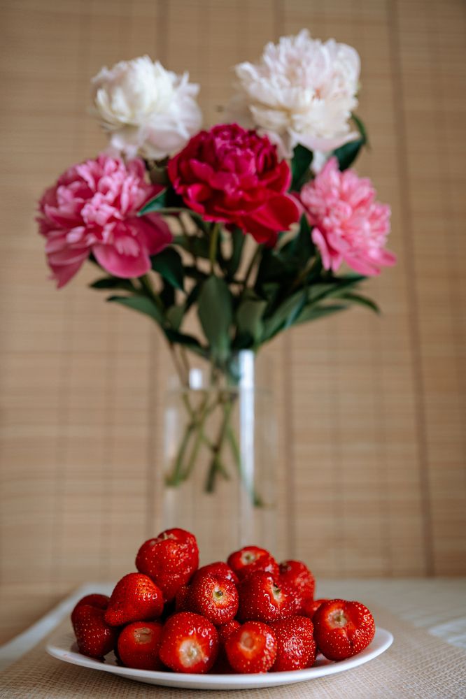 Фотография автора Лукашенко Ольга