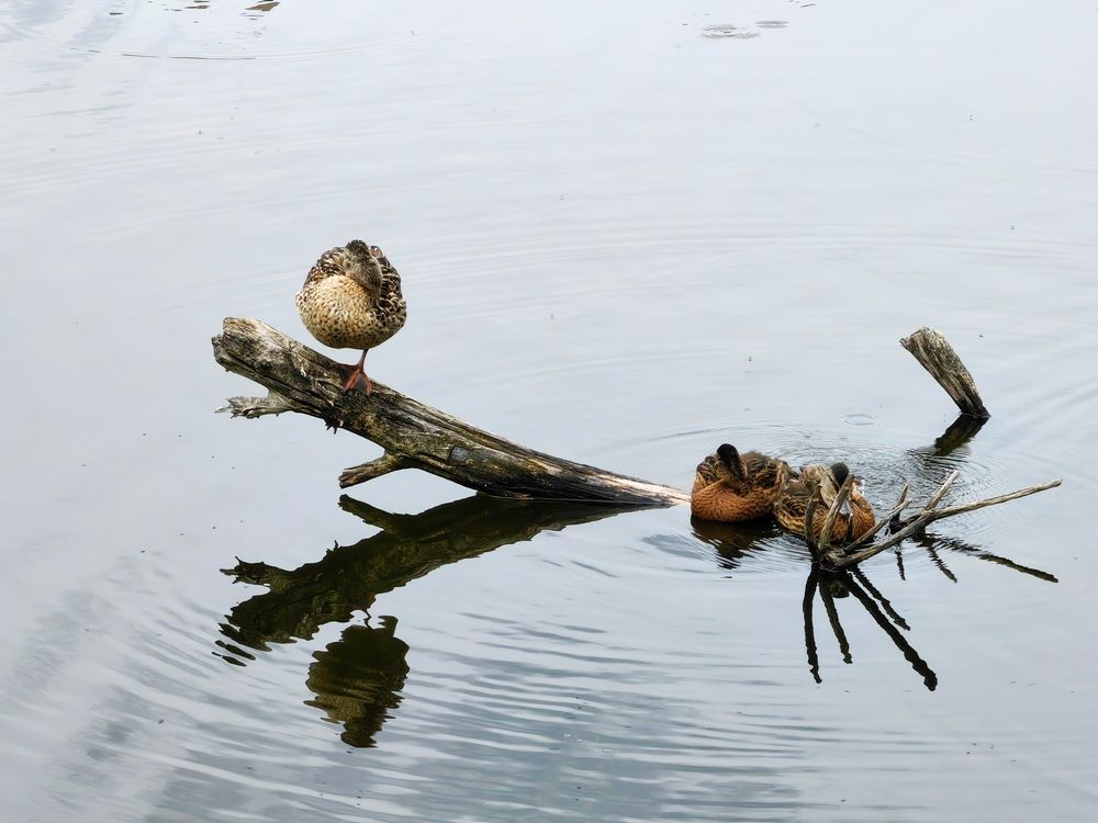 Photograph by Александр Максимов