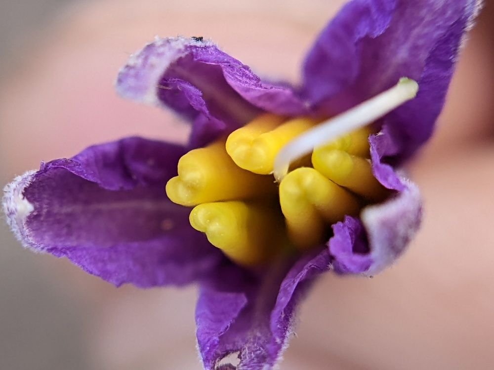 Photograph by Sai Krishna