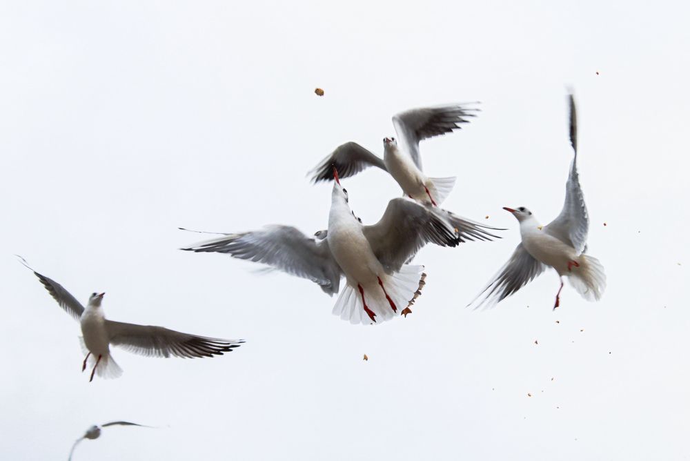 Photograph by Марина Ильева