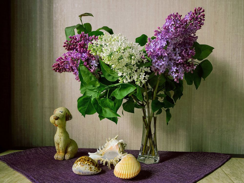 Photograph by Олег Милеев (Каминцев)