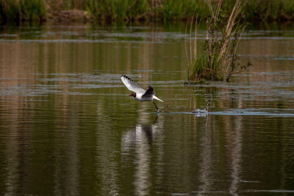 Photograph by Kipkaev Oleg