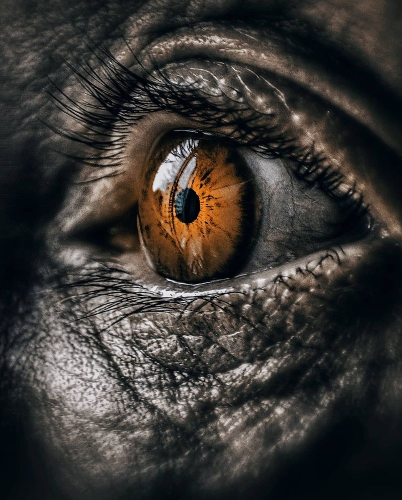 Photograph by Mar Kos