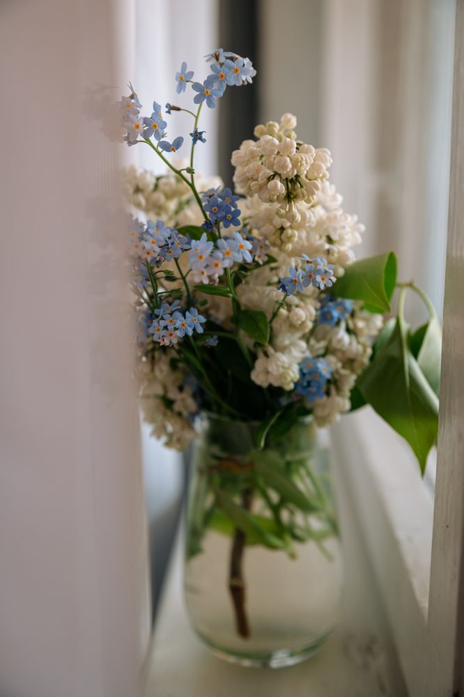 Фотография автора Лукашенко Ольга