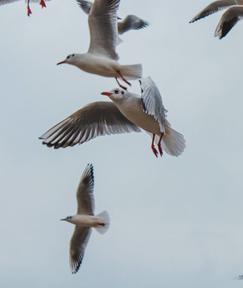 Photograph by Марина Ильева