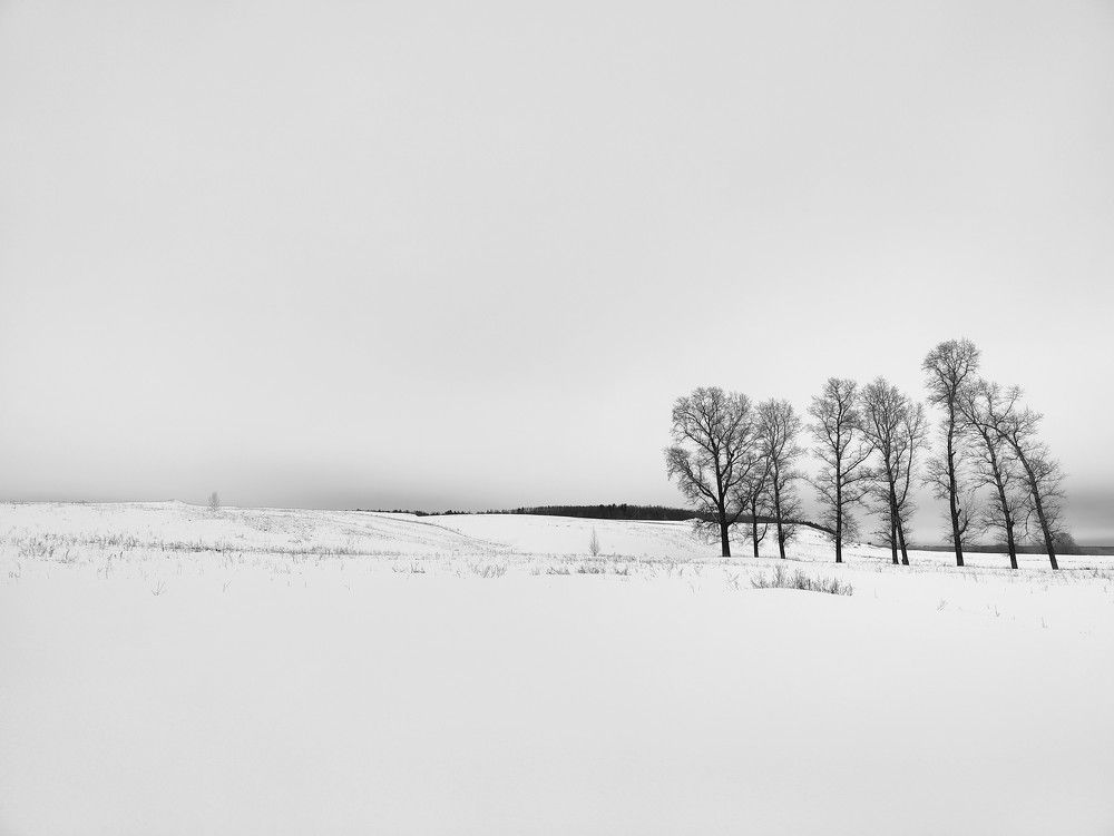 Photograph by Mar Kos