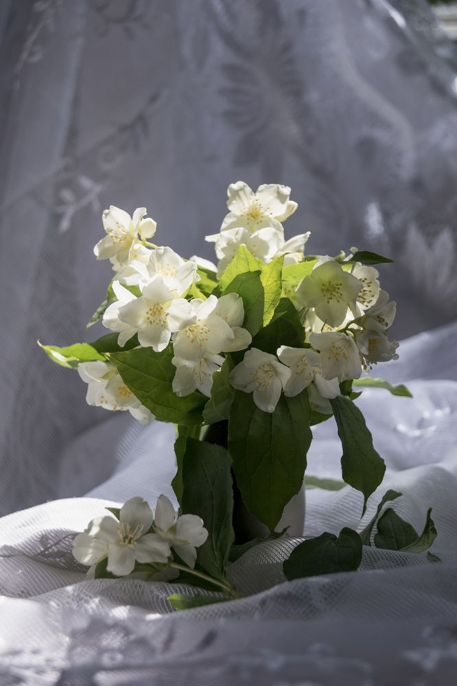 Photograph by Лилия Кондратьева