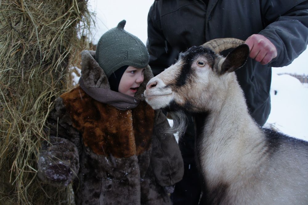 Photograph by Полина Ефимова