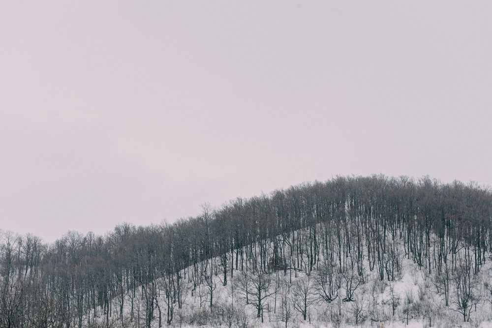 Photograph by Зухра Галиуллина