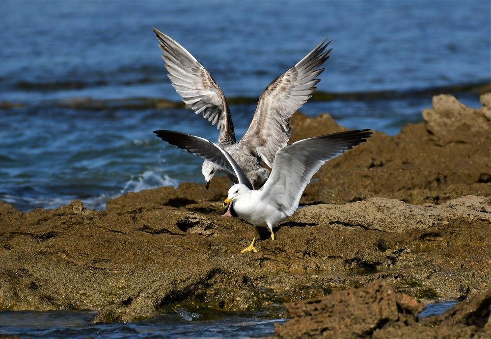 Photograph by Dagmara Giller