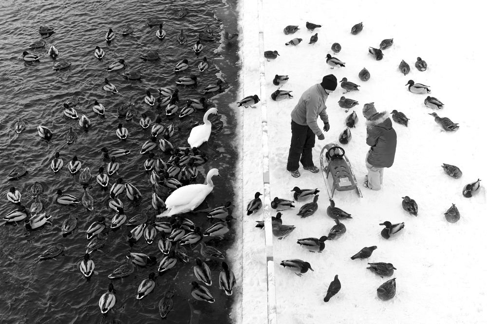 Photograph by Ruta Ablonskyte - Dudoniene