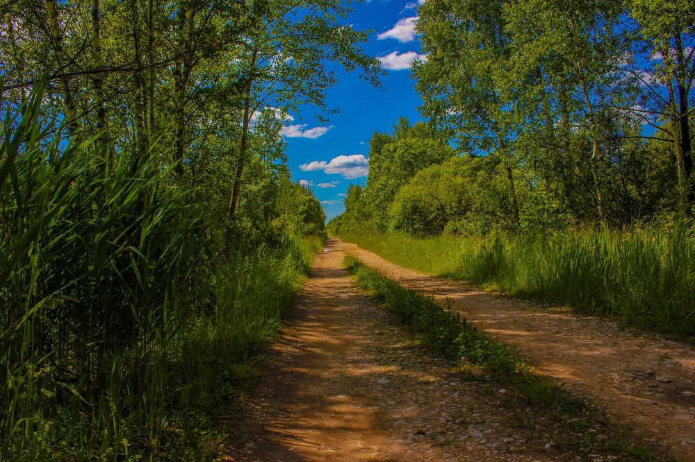 Фотография автора Александр Бокур